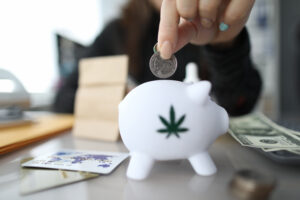 Close-up of female hand putting money to white piggy bank with marijuana sign. Woman holding silver coin. Moneybox on table. Thrift-box and investment concept
