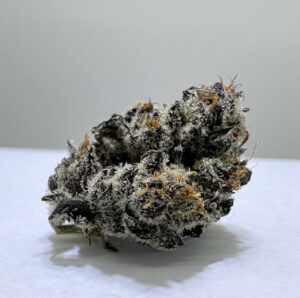 Some really frosty White Truffle by Cloud 9 Farms