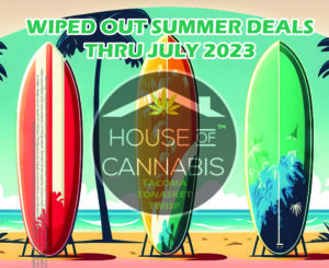 Graphic for Wiped Out Summer Deals July 2023