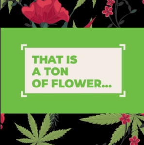 A graphic for the lead in to our POTify Wrapped video