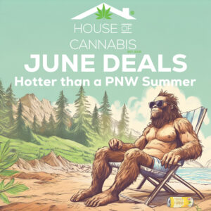 A June Deal promo image that depicts a yeti, relaxing on the beach, but looking at the mountains with a canna beverage by his side