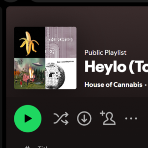 Thumbnail for the Heylo / HoC playlist to pair with Topanga OG on Spotify